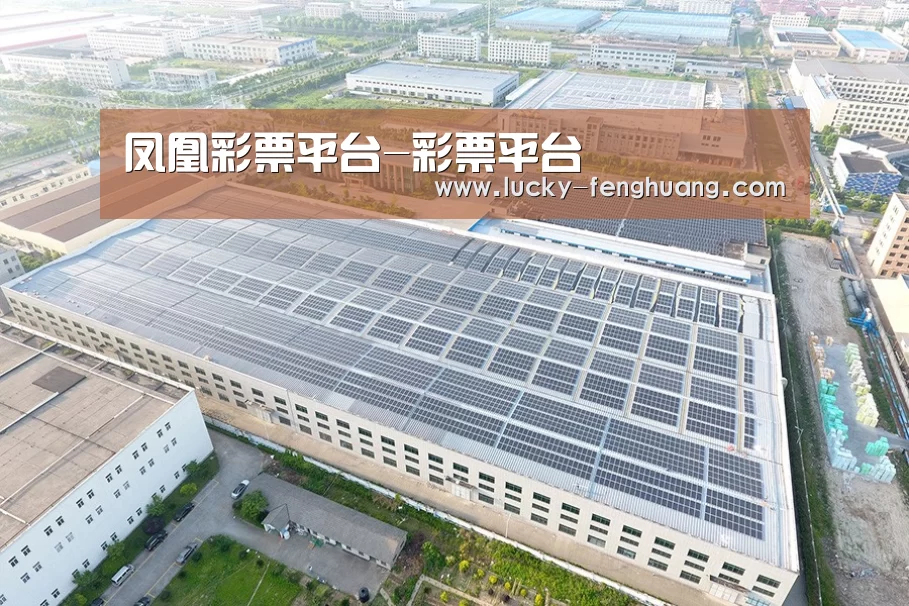 案例展示一