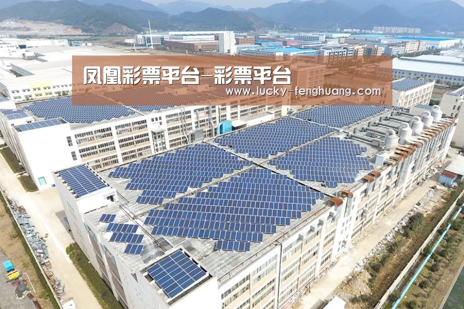 案例展示一