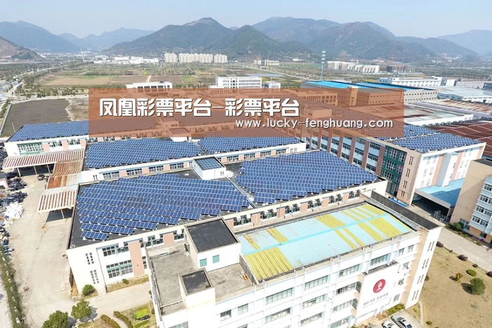 案例展示四