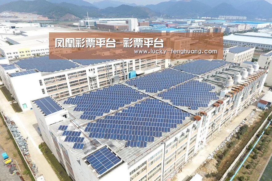 案例展示二