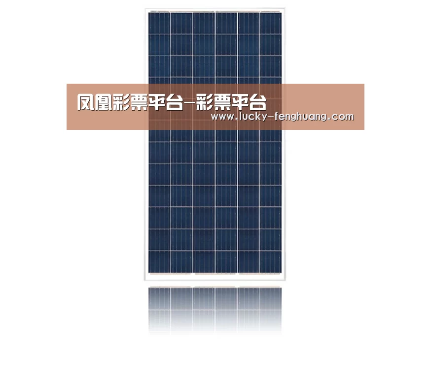 产品名称一