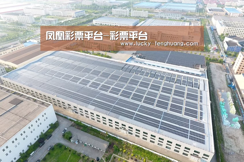 案例展示二