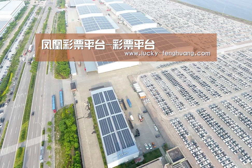 案例展示一