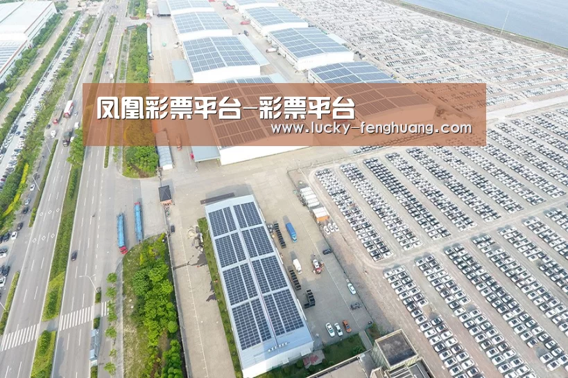 案例展示三