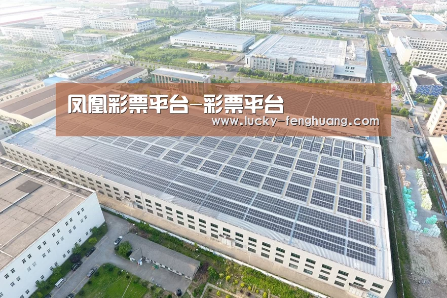 案例展示四